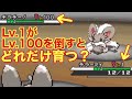 【小ネタ】レベル1がレベル100を倒すと何レベルまで育つのか検証した【ポケモンBW】