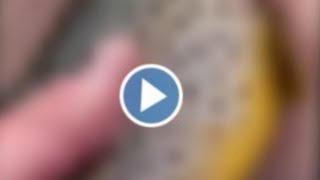 Trout for clout video - using a trout for clout - trout for clout reddit