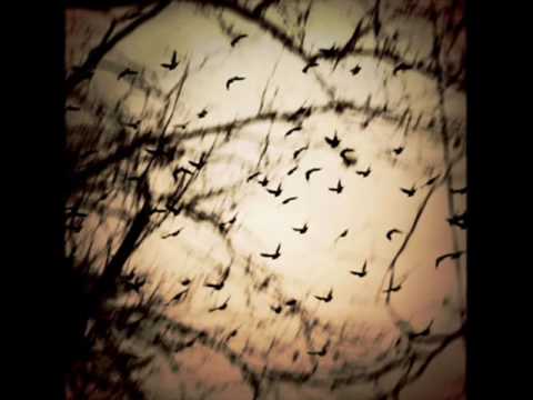 The Gathering-Nighttime Birds