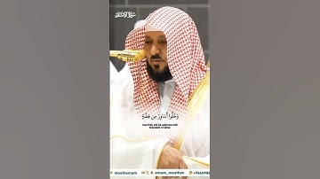 ويطوف عليهم ولدان مخلدون_تلاوة مرئية من صلاة العشاء 16 ربيع الآخر 1446هـ_الشيخ ماهر المعيقلي_#quran