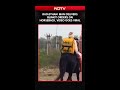Elderly Man Delivers Blinkit Orders On Horseback In Rajasthan's Dausa, Video Goes Viral