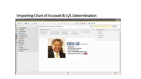 SAP Business One Importing Chart of Account & Account Determination