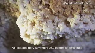 Bochnia Salt Mine | DiscoverCracow.com