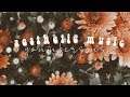 ✧ aesthetic music and songs YOUTUBERS use ✧