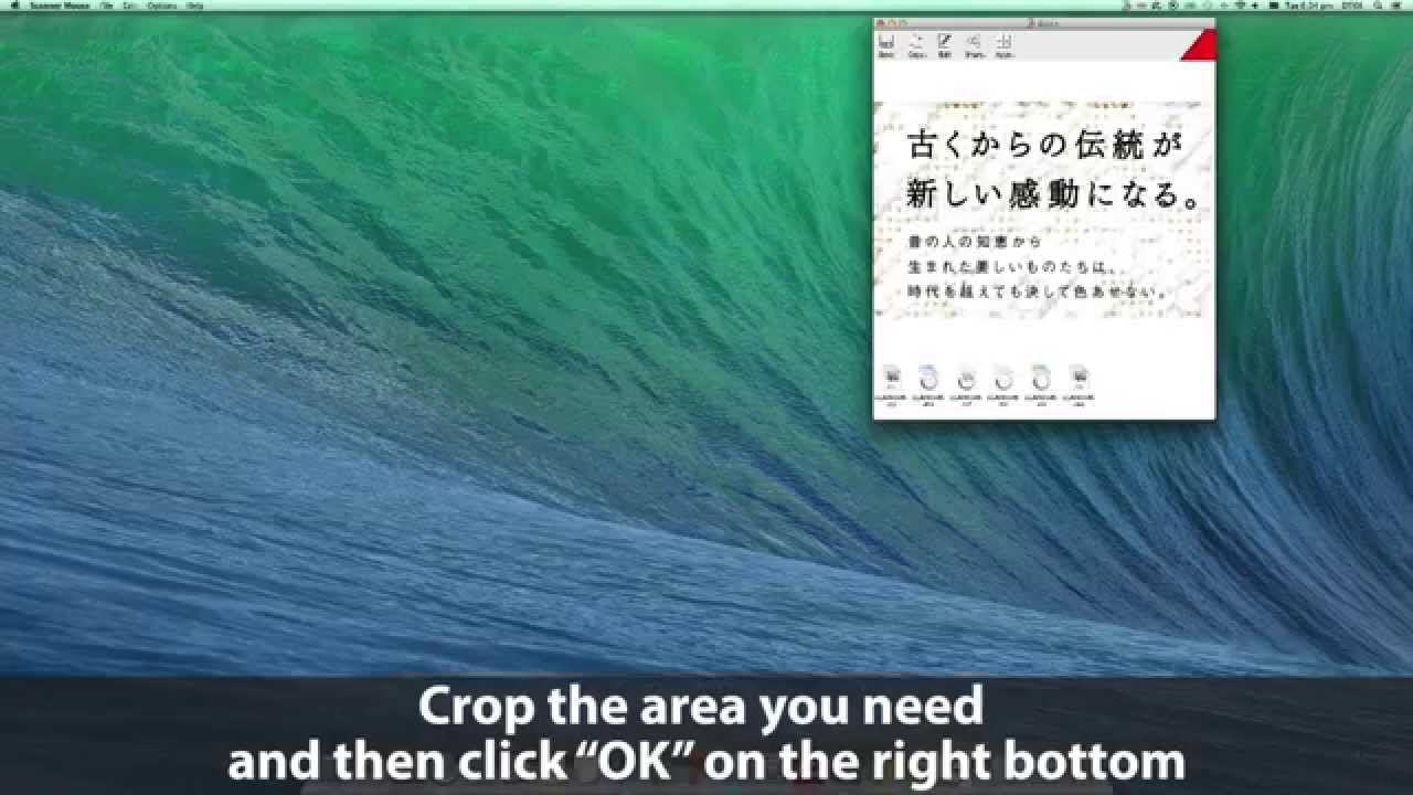 Zcan+ Scanner Mouse Google Translate Live Demo