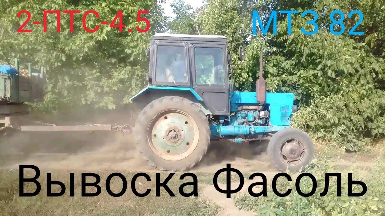 Свежие вакансии мтз. Тракторист Ливиу ТВ МТЗ 82. МТЗ 82.2 С прицепом. Трактор МТЗ 82.1 ПТС 4. МТЗ трактор в Таджикистане полный навоз груженый фото.