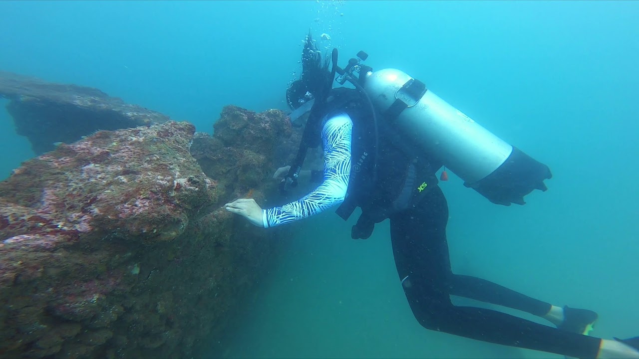 Scuba Diving at Shipwreck in Goa, India PADI Instructor YouTube