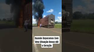 Quando Deparamos Com Uma Situação Dessa dói muito #fazenda #caminhão