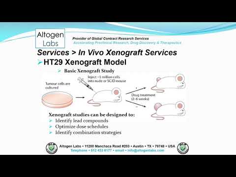 Altogen Labs HT29 Xenograft Service Colon Cancer