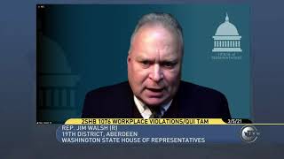 Walsh says bill would create a system ripe for abuse, and no real safeguards from frivolous lawsuits