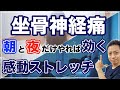 【坐骨神経痛 ストレッチ】朝と夜だけやれば効く！腰痛や坐骨神経痛の改善方法！〜広島県福山市の整体院 一心 ISSHIN〜