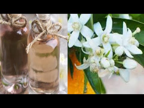 لن تصدق الفوائد الصحية العلاجية لجسمك عند شرب ماء الزهر علي الريق