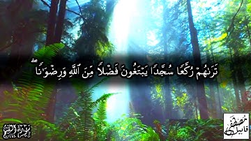 الآية التي جمعت حروف اللغة العربية كلها | مصطفى قابيل