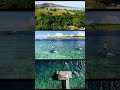 Indonesia , Comodo