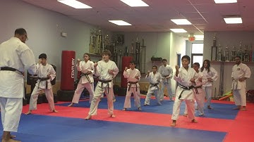 Reverse Punch Low Block