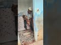 ভাঙাভাঙির#construction