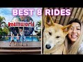 Top 8 FUN Rides at Dreamworld Gold Coast | Theme Parks Australia