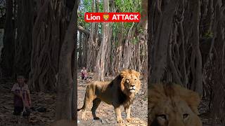 Lion Attack on Man in Forest 😱 | Shocking Wild Animal Attack | Jungle Danger Viral Video #wildlife