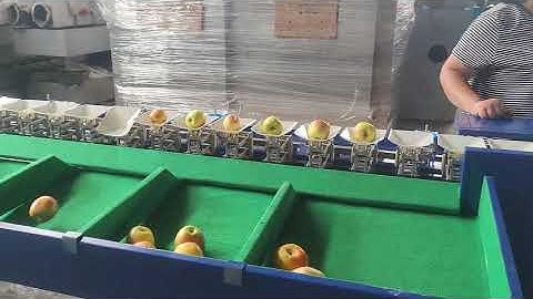 Fruit sorting machine,fruit grading machinery