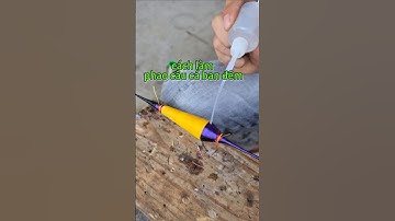 phao lục đầu cần câu cá  cả ngày và đêm