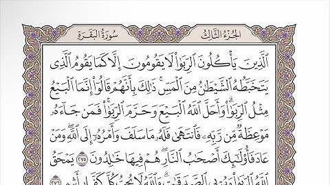 صفحة ٤٧ من القرآن الكريم مكررة ٣ مرات - الشيخ عبدالرشيد صوفي