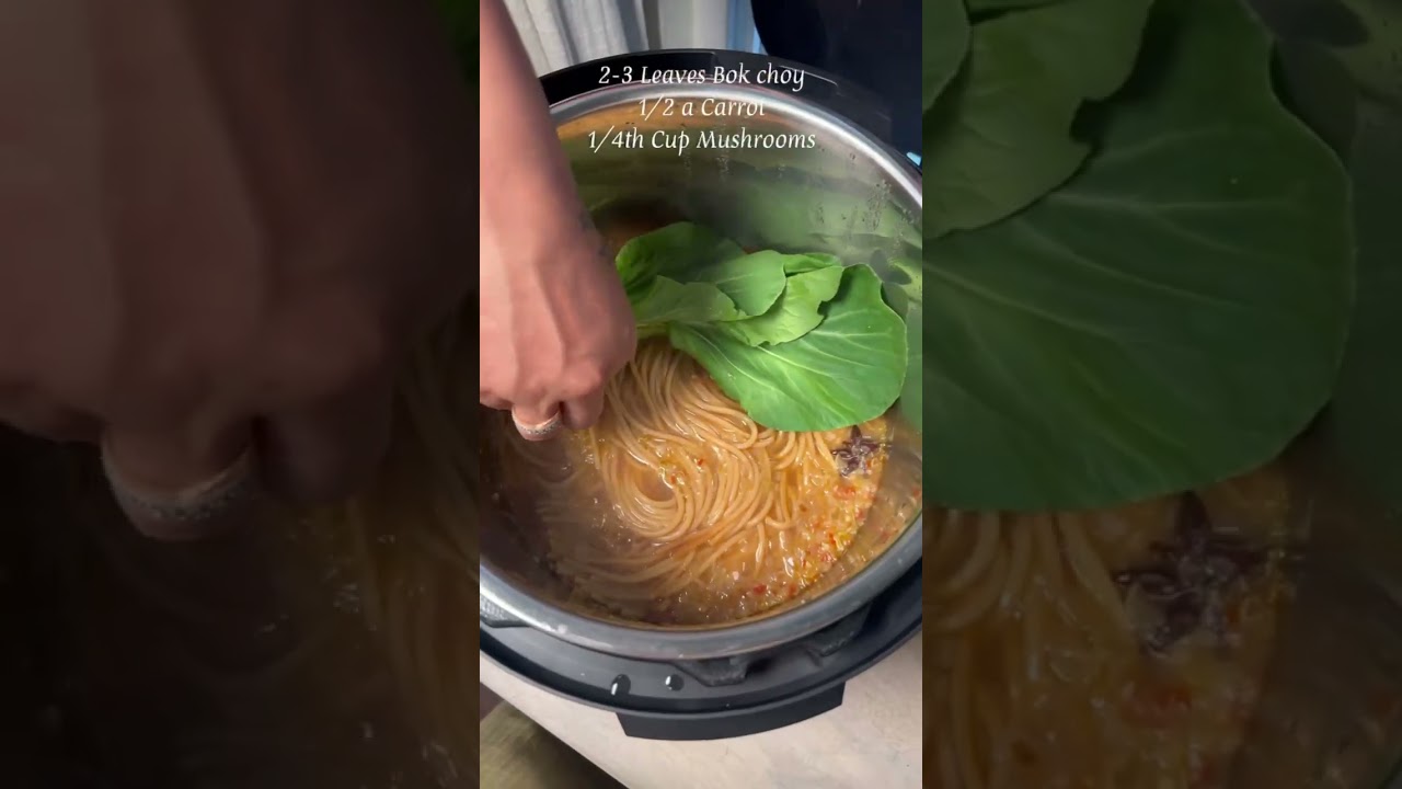 Veggie Noodle Soup Recipe | Made in the Nutricook Smart Pot | Quick & Easy Recipe 