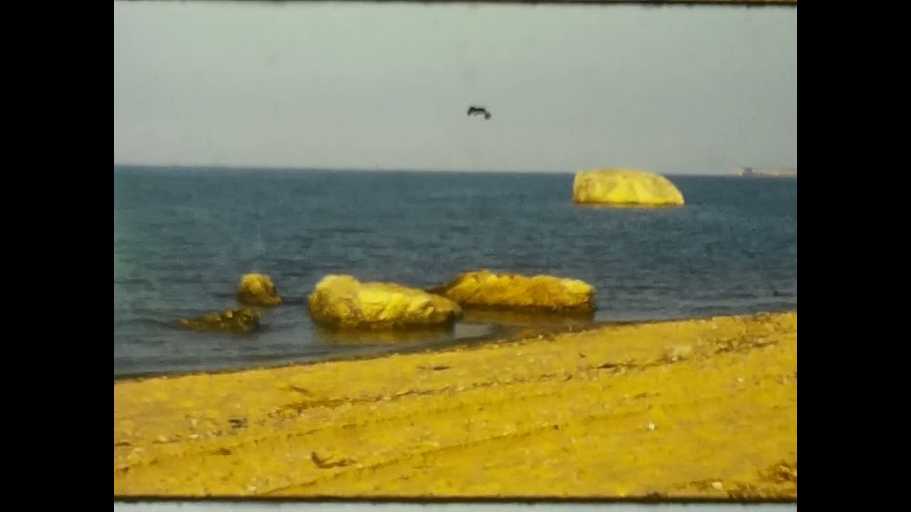 1969 Port Jefferson Harbor