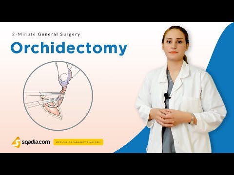 ऑर्किडेक्टोमी | सर्जरी वीडियो व्याख्यान | चिकित्सा छात्र शिक्षा | वी-लर्निंग