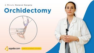 Orchidectomy | Surgery Video Lectures | Medical Student Education | V-Learning