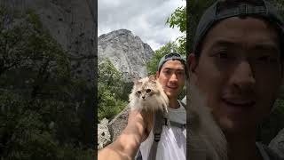 Talking Kitty Rosie Says Wow With Her Pawrents