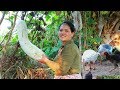 woman making wax gourd Juice Recipe - Cooking in in forest -drinking delicious