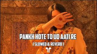 pankh hote to ud aati re slowed and reverb || Rajasthani song @RasiyoRupalo