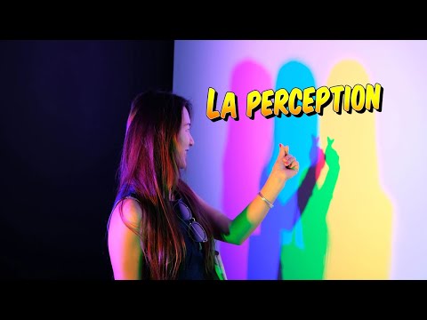 Vidéo: TROUBLES DE LA SENSATION ET DE LA PERCEPTION. Théorie