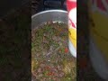حطى المكونات ديه على الكبده هتلاقى طعمها احلى من المحلات