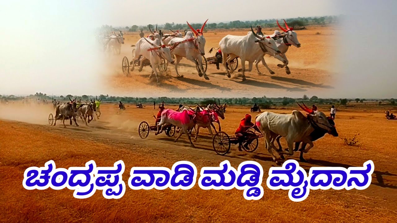 ಚಂದ್ರಪ್ಪ ವಾಡಿ ಮಡ್ಡಿ ಮೈದಾನ