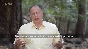 Living planet symposium 2016 - Forestry TEP