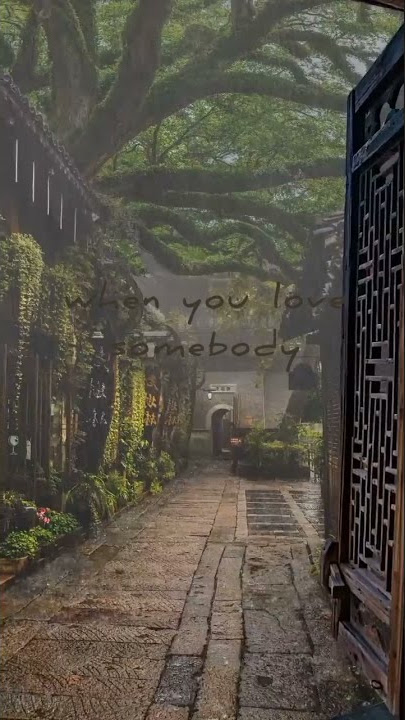 coldplay let somebody go 30 second whatsapp status #coldplay #coldplayxbts