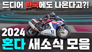 2024 혼다 오토바이 새소식 정리 | cbr600rr cbr1000rrr cb650r cbr650r cbr500r nx500 | eicma 2024 honda Summary