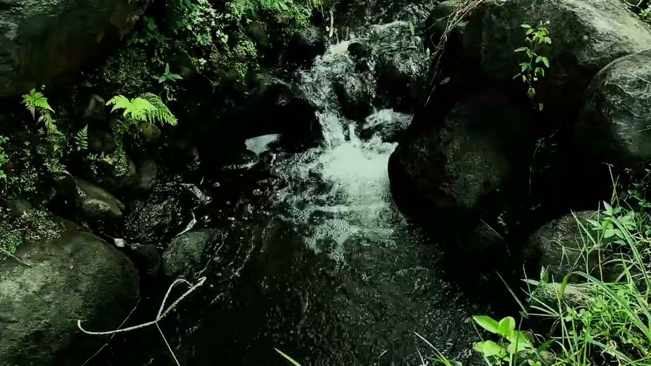 Calma Profunda | Relaxing River Sounds | Río Fluyendo Suave | Dormir Mejor contra Insomnio y Ti