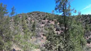 Chasse sanglier source d’oum erabi3 Maroc 2023