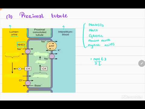 DIURETICS (Part 1)