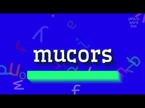 Video: Սնկի մուկոր կամ սպիտակ բորբոս. կառուցվածքային առանձնահատկություններ, վերարտադրություն և սնուցում