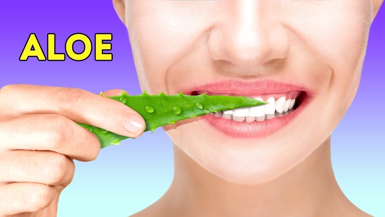 30 CLEVERE TRICKS MIT ALOE VERA, DIE DU LIEBEN WIRST