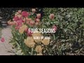 望月彩羽 - Four Seasons(MONK Remix)