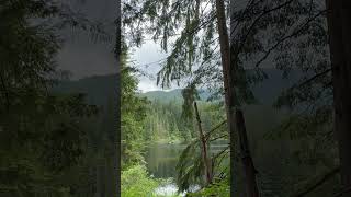 "Peaceful Nature Sounds ☘️ Relaxing Forest Ambience for Stress Relief" | Music With Rahul Rajpara