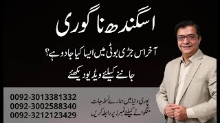 Asgandh Nagori (Ashwagandha) ke Fayde in Urdu | Hakeem Shah Nazir