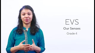 Grade 4|| EVS || Unit 2- Our Senses