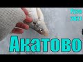 Акатово | Рузское водохранилище | Рыбалка