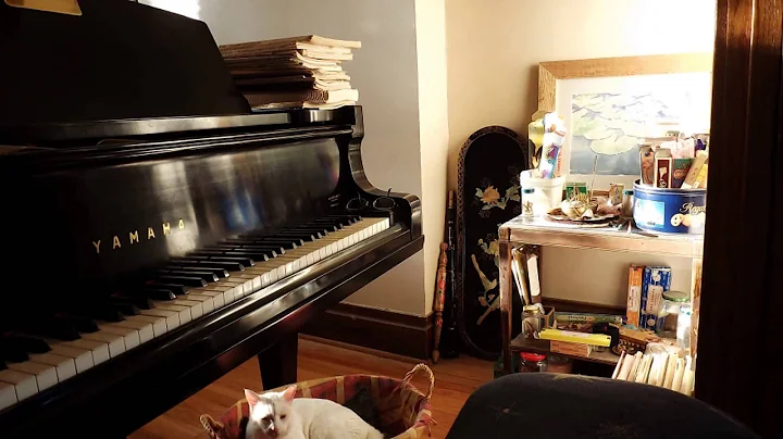 Raggy Rag - Floyd Willis (Ragtime Piano)