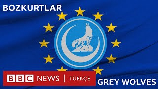 Bozkurtlar Ve Bozkurt Işareti Avrupada Neden Tartışılıyor?